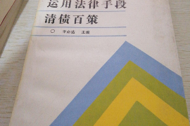 凤庆如何避免债务纠纷？专业追讨公司教您应对之策